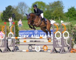jumper Shamrock Hunter (Oldenburg show jumper, 2020, from Hunter's Scendix)