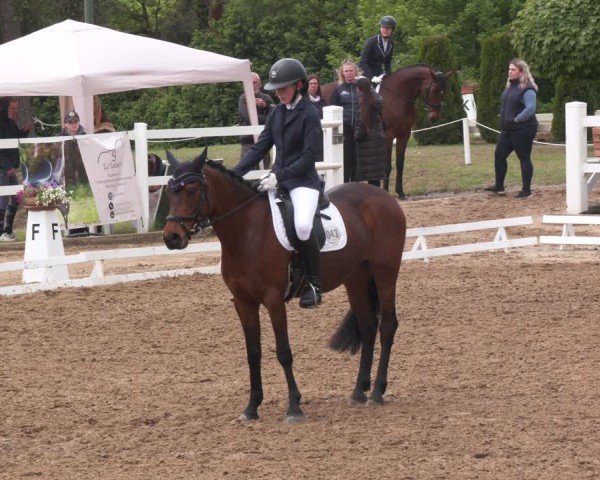 Reitturnier Teupitz 2025