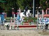 jumper Caprizio 3 (Oldenburg, 2008, from Capilano)