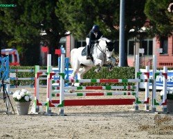 jumper Caprizio 3 (Oldenburg, 2008, from Capilano)