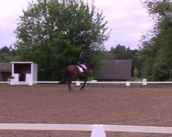 Reitturnier Teupitz 2025
