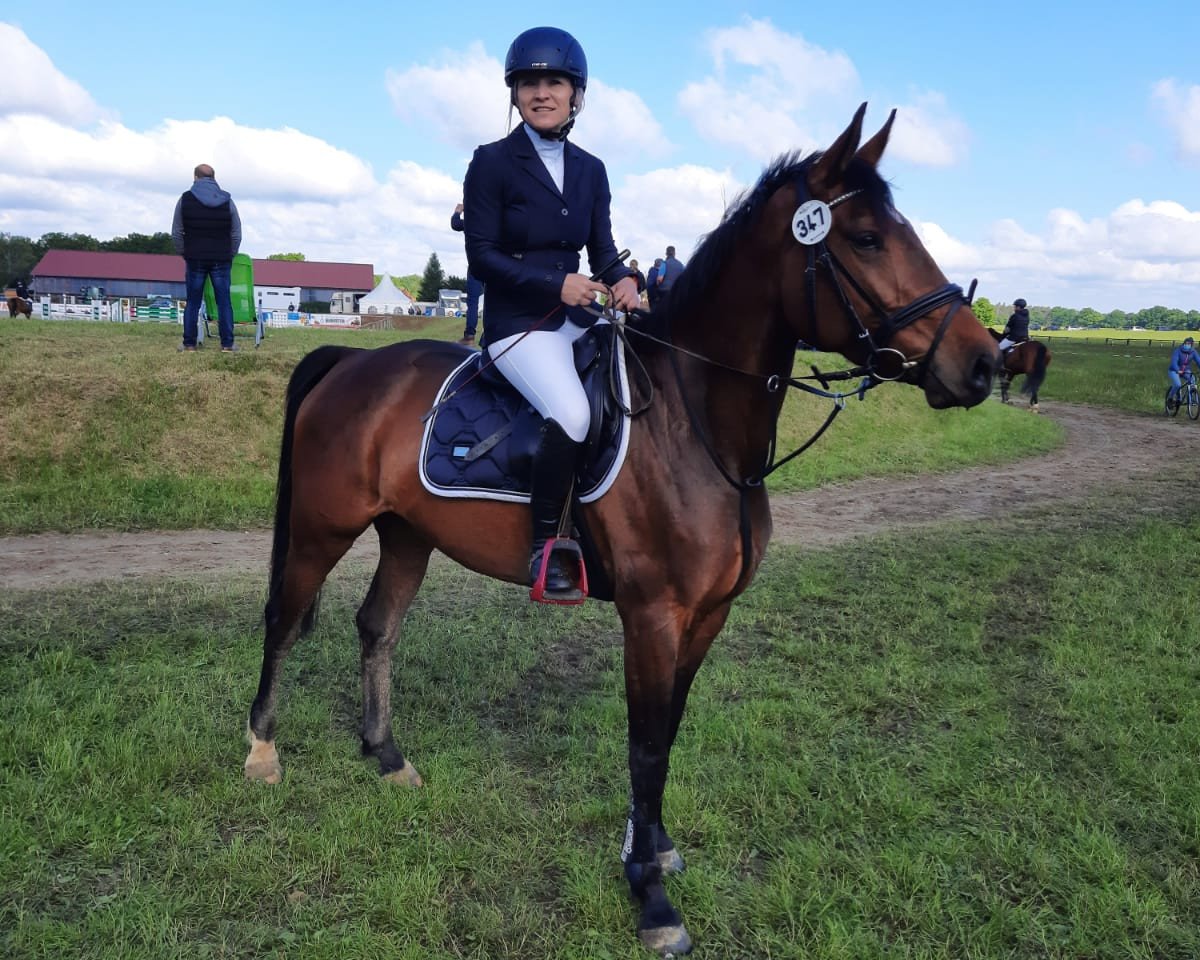 jumper Xanthippe 3 (German Sport Horse, 2014, from No Limit)