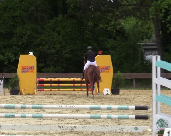 Reitturnier Wesel-Obrighoven 2025