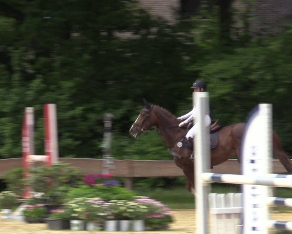 Reitturnier Wesel-Obrighoven 2025