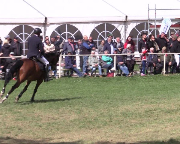 Reitturnier Derenburg 2025