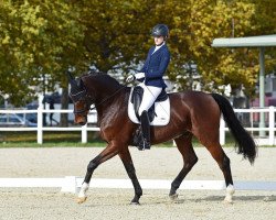 dressage horse Fitz Roy 4 (Oldenburg, 2005)