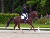 dressage horse Redwood (Oldenburg, 2008, from Rohdiamant)