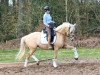 broodmare Melting Moment (German Riding Pony, 2016, from Petit Magic Moment)