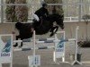 broodmare Aesoka Tano (Holsteiner, 2011, from Connor 48)