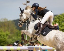 jumper Cassidy B 3 (German Sport Horse, 2017, from Corrinaro)