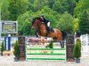 jumper Celebration 53 (Westphalian, 2012, from Carrico)