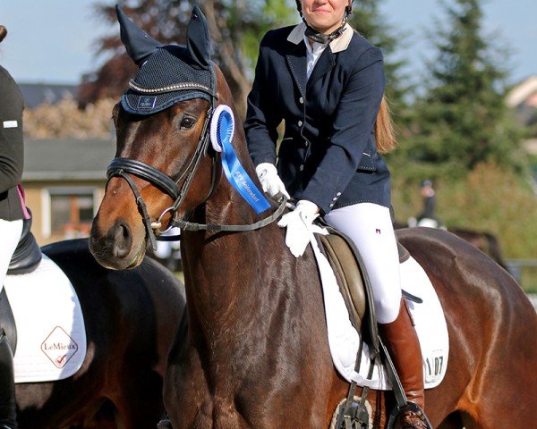 dressage horse Winni 278 (Oldenburg, 2020, from Galaxy)