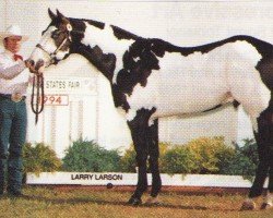 Pferd Luckys Diamond Te (Paint Horse, 1991, von Lucky Sonny Dee)