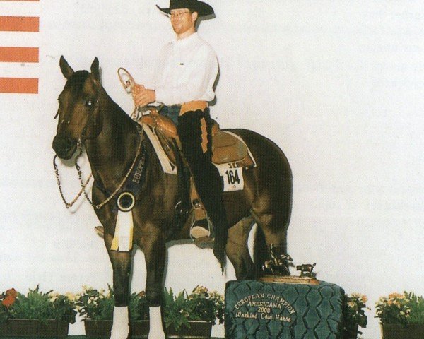 horse Keens Rainimen (Quarter Horse, 1994, from Keen Freckles)