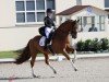 dressage horse Zhaviero (Holsteiner, 2013, from Zhivago)