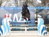Springpferd Dia Blue (Oldenburger Springpferd, 2013, von Diarado)