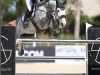 jumper Oh Sissi (Holsteiner, 2016, from Orlando van de Heffinck)