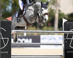 jumper Oh Sissi (Holsteiner, 2016, from Orlando van de Heffinck)