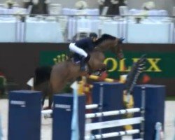 jumper Lektor 35 (Westphalian, 2001, from Lancer III)