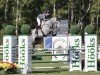 jumper Iggy (Oldenburg show jumper, 2018, from Chacoon Blue)