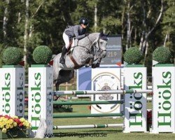 jumper Iggy (Oldenburg show jumper, 2018, from Chacoon Blue)