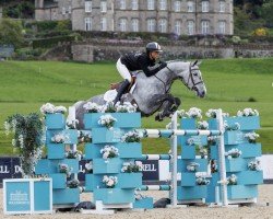 Springpferd One Ruby (Anglo Europäisches Sportpferd, 2016, von Cicero)