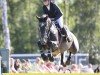 jumper Cico G Z (Zangersheide riding horse, 2016, from Cicero Z van Paemel)