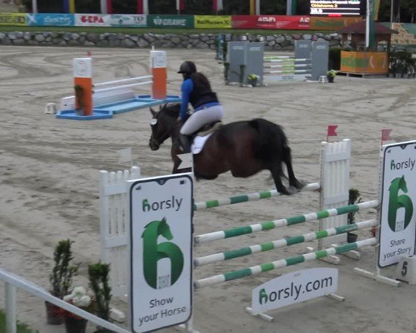 Reitturnier Preding 2025
