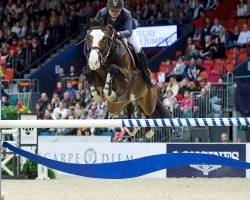 broodmare Certina G (Swedish Warmblood, 2008, from Cartier 187 FIN)