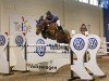 jumper Titanic VDL (KWPN (Royal Dutch Sporthorse), 2000, from Neckar)