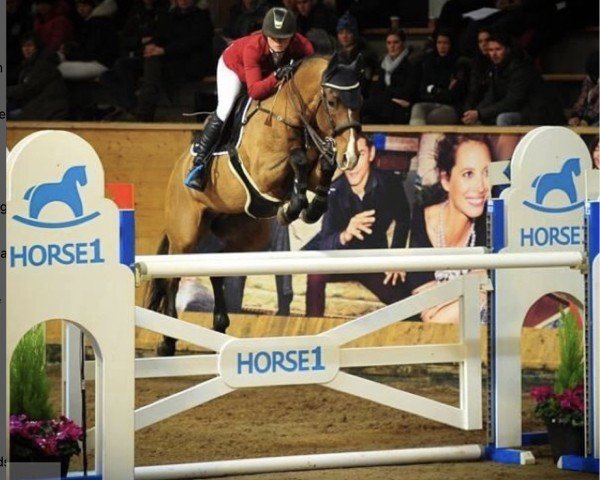 Springpferd Aernst (Schwedisches Warmblut, 1999, von Aerline H)