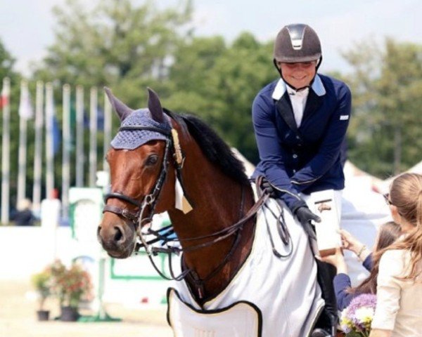 Springpferd Himer's Iceface (KWPN (Niederländisches Warmblut), 2001, von Ircolando)