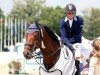jumper Himer's Iceface (KWPN (Royal Dutch Sporthorse), 2001, from Ircolando)