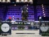 jumper Queeletta (Oldenburg, 2008, from Quality 9)