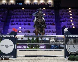 jumper Queeletta (Oldenburg, 2008, from Quality 9)