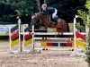 broodmare SM Little Diva (German Riding Pony, 2018, from Chattanooga)