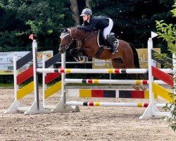 broodmare SM Little Diva (German Riding Pony, 2018, from Chattanooga)