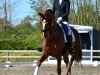 dressage horse Quantum B (Hanoverian, 2015, from Quaterhall)