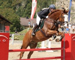 jumper Lorentino Amc (Oldenburg, 2012, from Last Mans Hope)