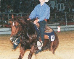 horse Javorina Acre Bob (Quarter Horse, 1993, from Bob Acre Doc)