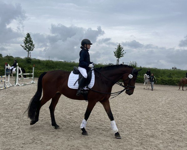 dressage horse Tennessee MW (German Riding Pony, 2020, from Birkhof's Topas Fbw)