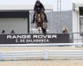 Springpferd Neymar (KWPN (Niederländisches Warmblut), 2018, von VDL Harley)