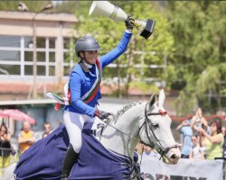 jumper Apollo D (KWPN (Royal Dutch Sporthorse), 2017, from Asca Z)