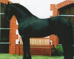 horse Jalke (Friese, 2003, from Tsjalke 397)