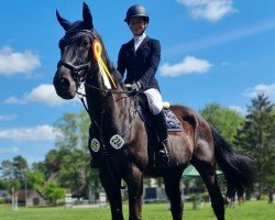 jumper Le Liban 2 (Hanoverian, 2009, from Landor S)