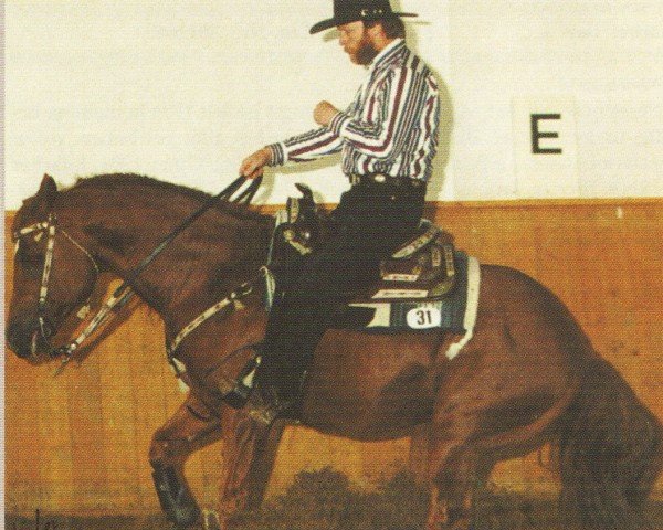 Deckhengst Cee A Nifty Bee (Quarter Horse, 1987, von Blair Cee)