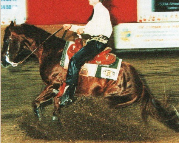 horse Bras Act (Quarter Horse, 1990, from Freckles Top Brass)