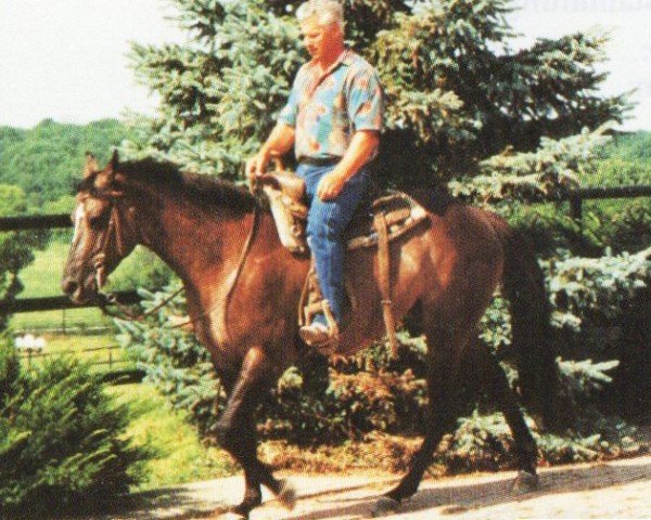 horse Beaus Bitta Shade NR 2 (Quarter Horse, 1992, from Beau Bonanza)