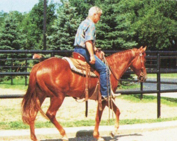 horse The Lone Angel (Quarter Horse, 1989, from Zippo Pine Bar)