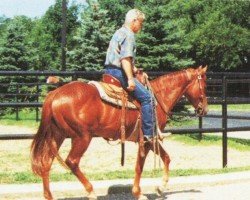 horse The Lone Angel (Quarter Horse, 1989, from Zippo Pine Bar)